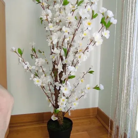 Allurian - Kvart Apartment Podgorica