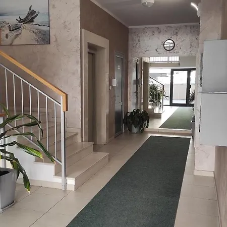 Allurian - Kvart * Podgorica