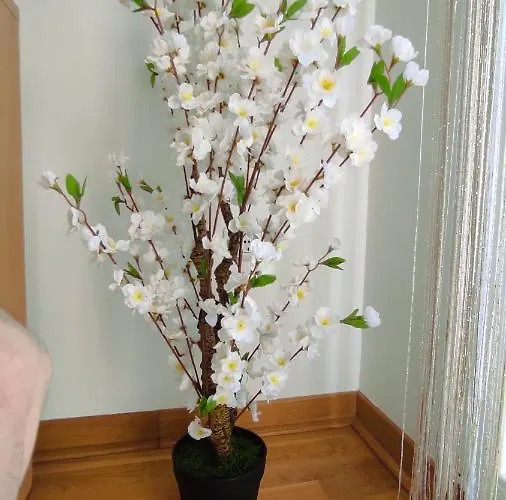 Allurian - Kvart Apartament Podgorica